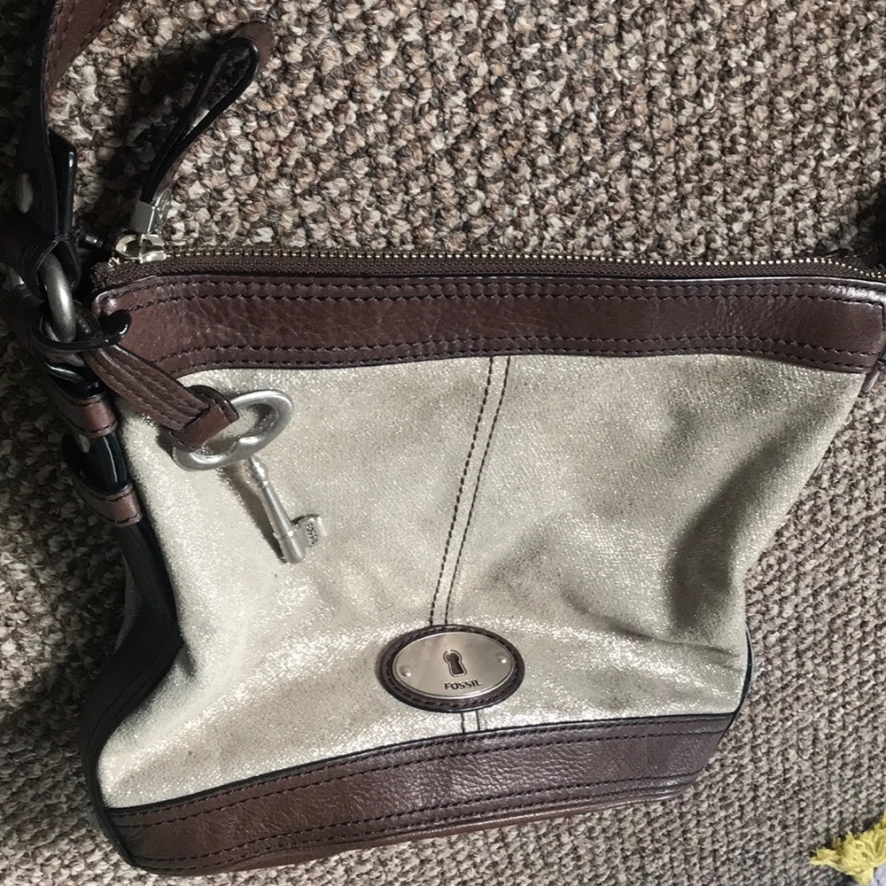 Shimmery Fossil leather Purse